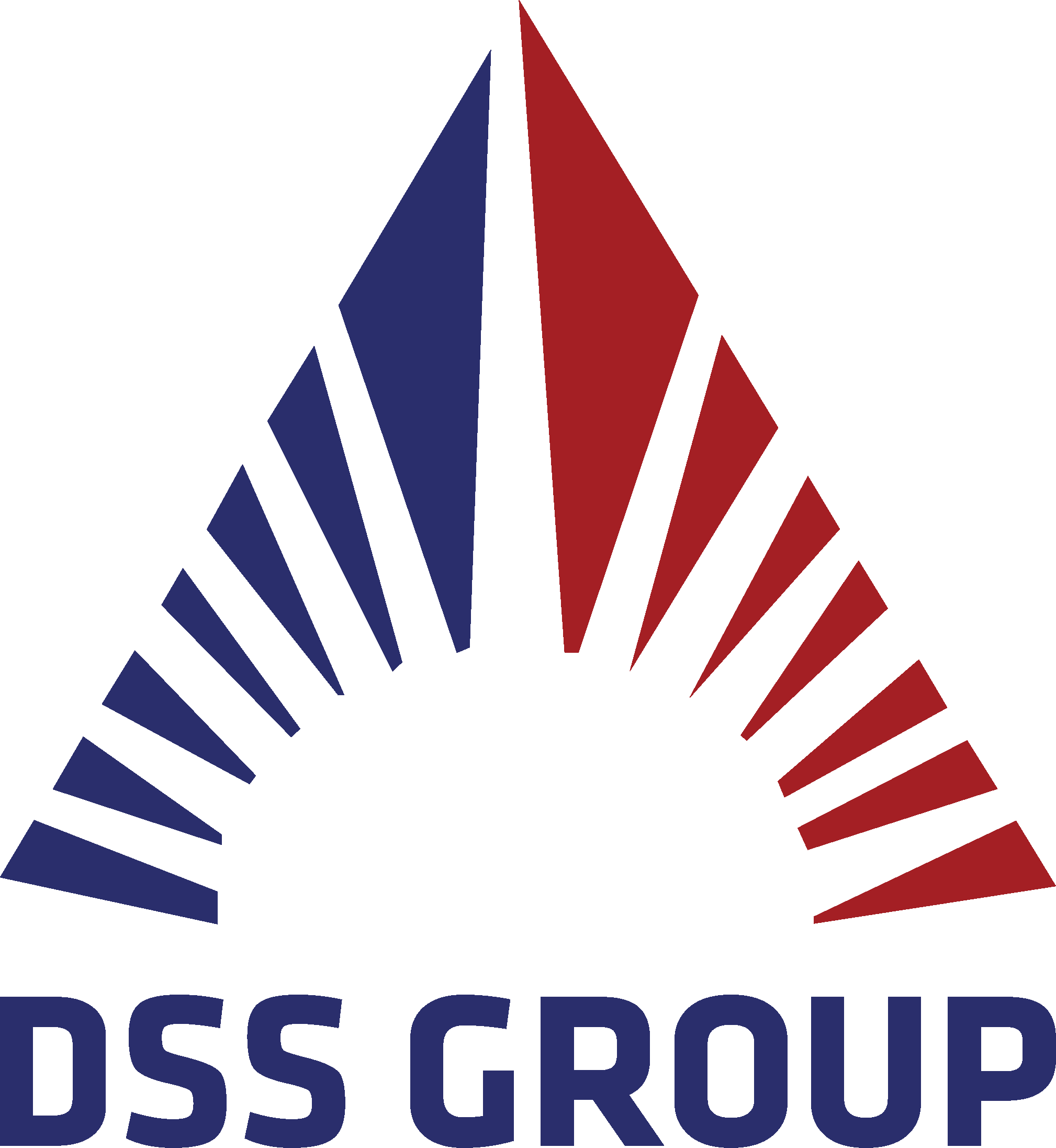 DSS GROUP – GIÁO DỤC VÀ DI TRÚ QUỐC TẾ